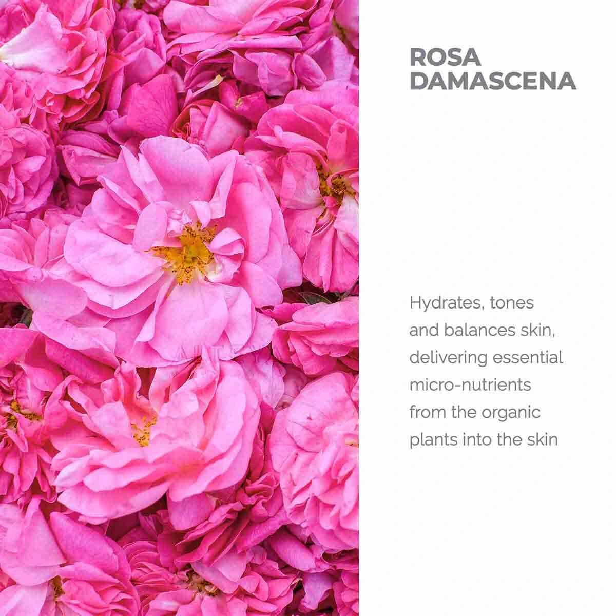 Nước hoa hồng đỏ hữu cơ Alteya Organics Rose Damascena Water 11