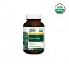 Tảo Spirulina Gaia hữu cơ 2
