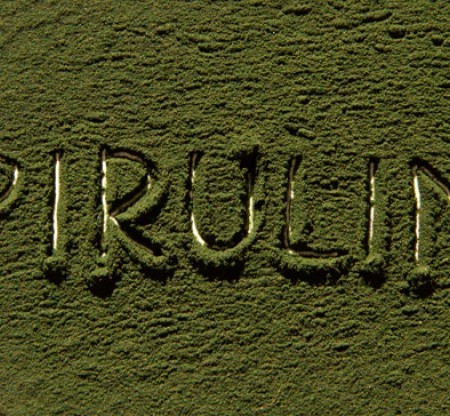 Lợi ích của tảo Spirulina