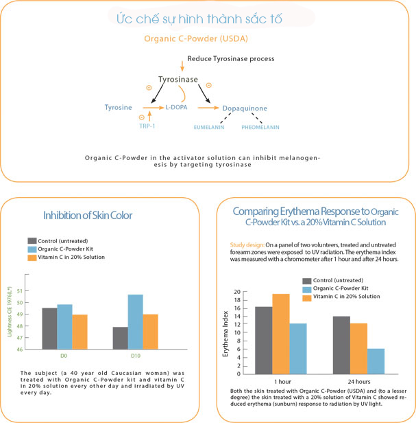 Huyết thanh vitamin C hữu cơ DrJ Skinclinic Organic C-Powder Kit 8
