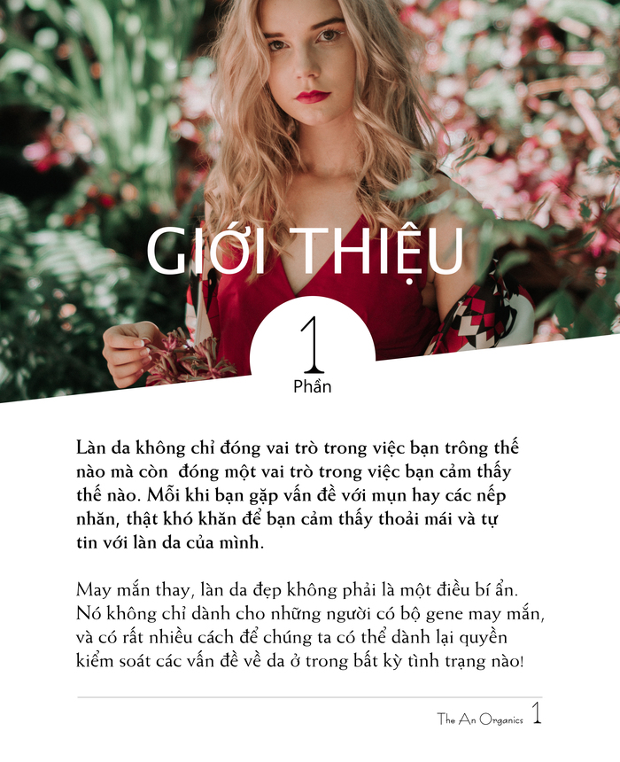 Chương 1 2 Ebook chăm sóc da của The An Organics, Chương 1