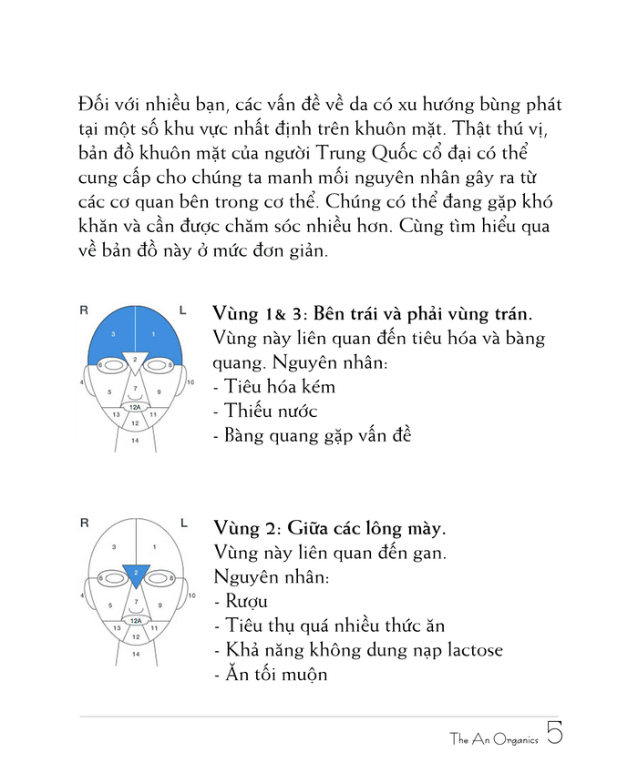 Chương 1 6 Ebook chăm sóc da của The An Organics, Chương 1