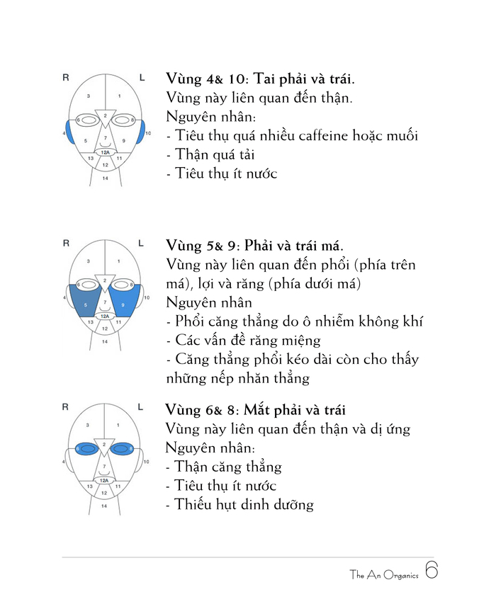 Chương 1 7 Ebook chăm sóc da của The An Organics, Chương 1