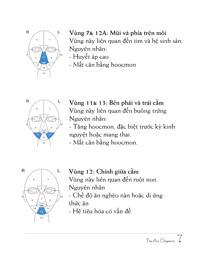 Chương 1 8 Ebook chăm sóc da của The An Organics, Chương 1