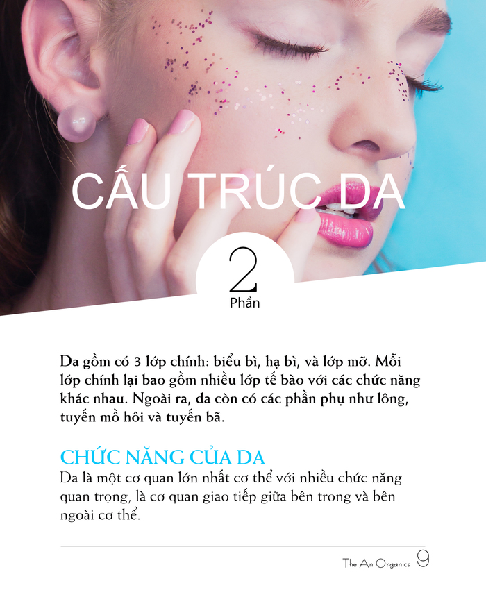 Ebook chăm sóc da toàn diện của The An Organics, Chương 2