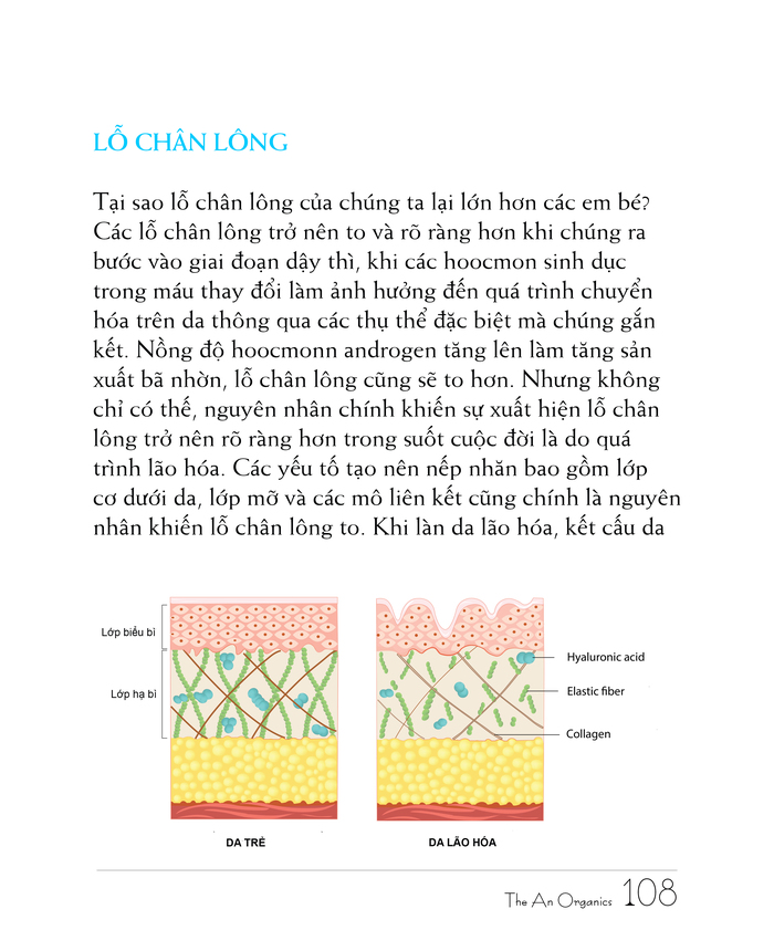 Chương 9 14 Ebook chăm sóc da toàn diện của The An Organics, Chương 9