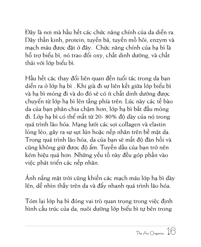 Ebook chăm sóc da toàn diện của The An Organics, Chương 2