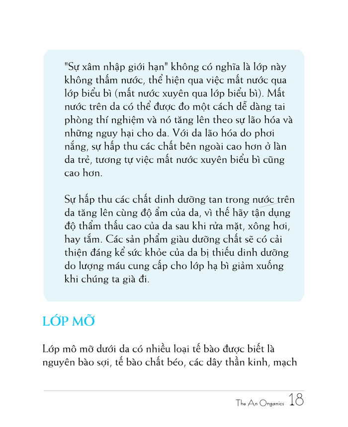 Ebook chăm sóc da toàn diện của The An Organics, Chương 2