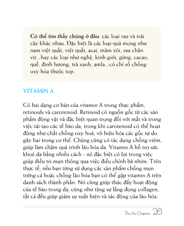 Ebook chăm sóc da toàn diện của The An Organics, Chương 3