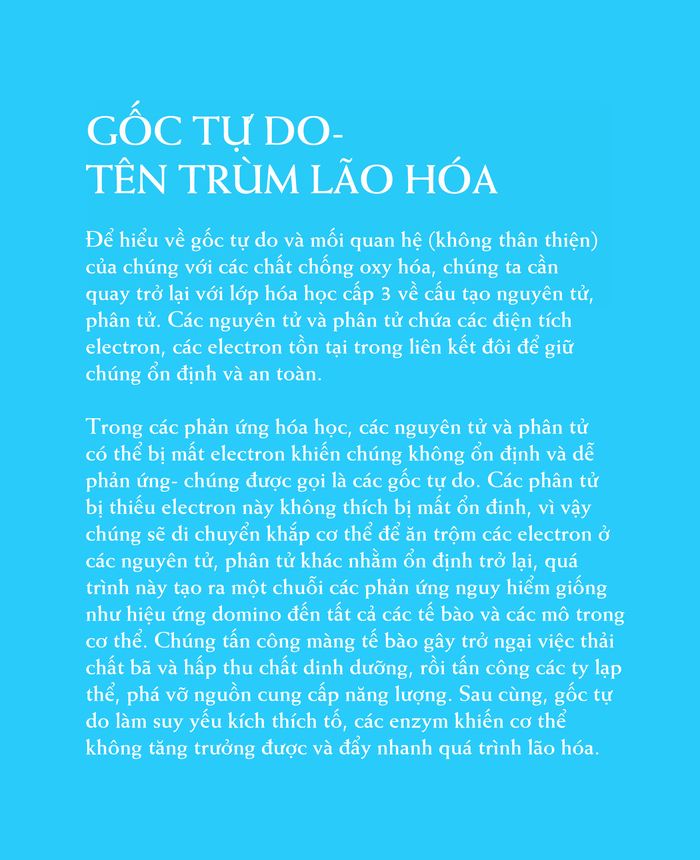 Ebook chăm sóc da toàn diện của The An Organics, Chương 3