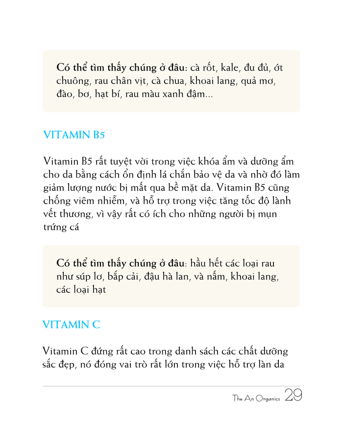 Ebook chăm sóc da toàn diện của The An Organics, Chương 3