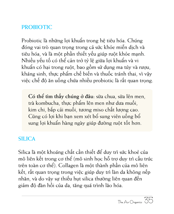 Ebook chăm sóc da toàn diện của The An Organics, Chương 3