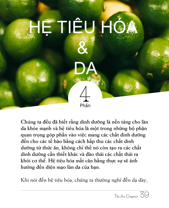 Ebook chăm sóc da toàn diện của The An Organics, Chương 4