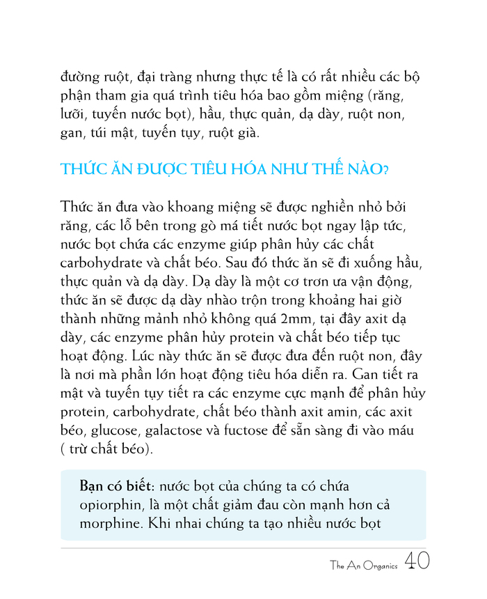 Ebook chăm sóc da toàn diện của The An Organics, Chương 4