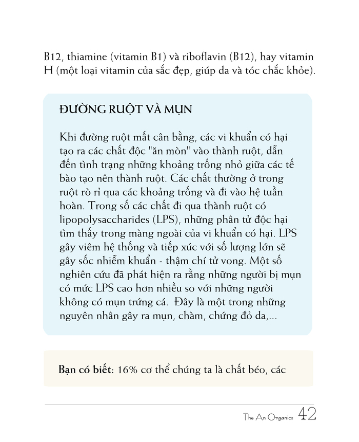 Ebook chăm sóc da toàn diện của The An Organics, Chương 4