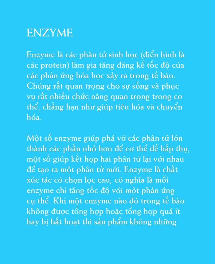 Ebook chăm sóc da toàn diện của The An Organics, Chương 4