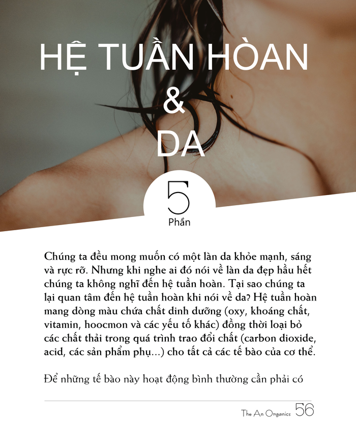 Ebook chăm sóc da toàn diện của The An Organics, Chương 5