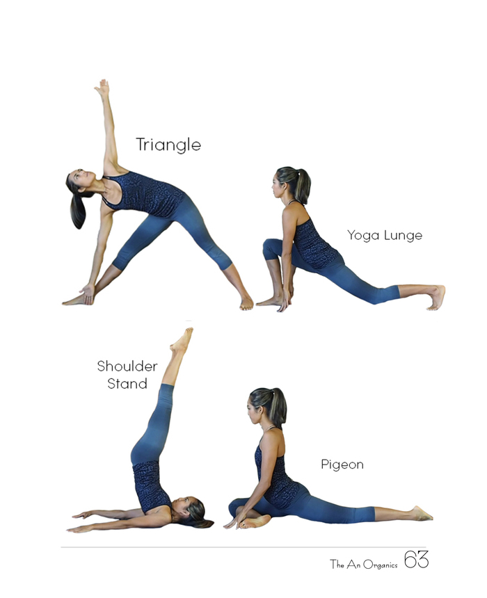 Ebook chăm sóc da toàn diện của The An Organics, Chương 5