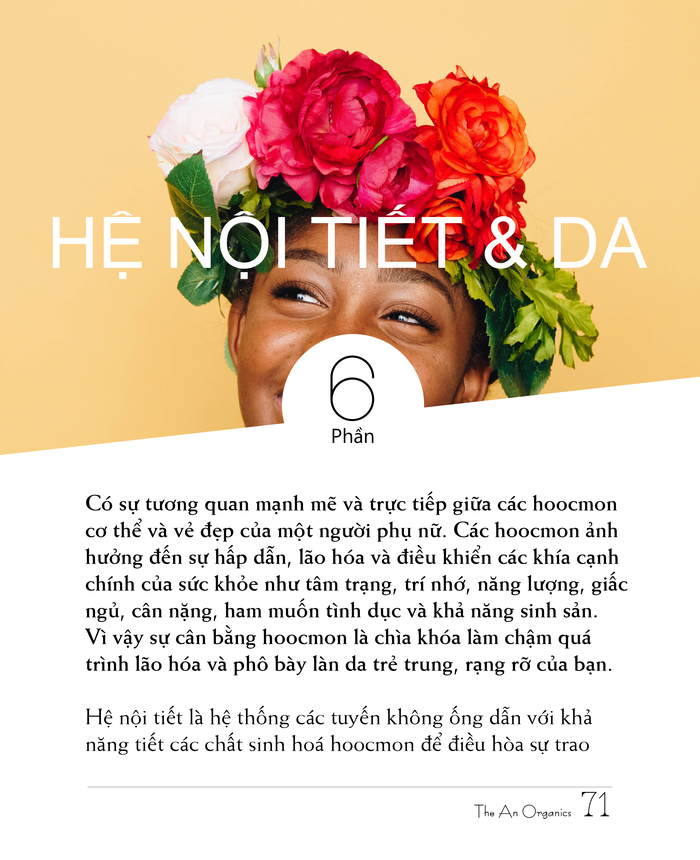 Ebook chăm sóc da toàn diện của The An Organics, Chương 6