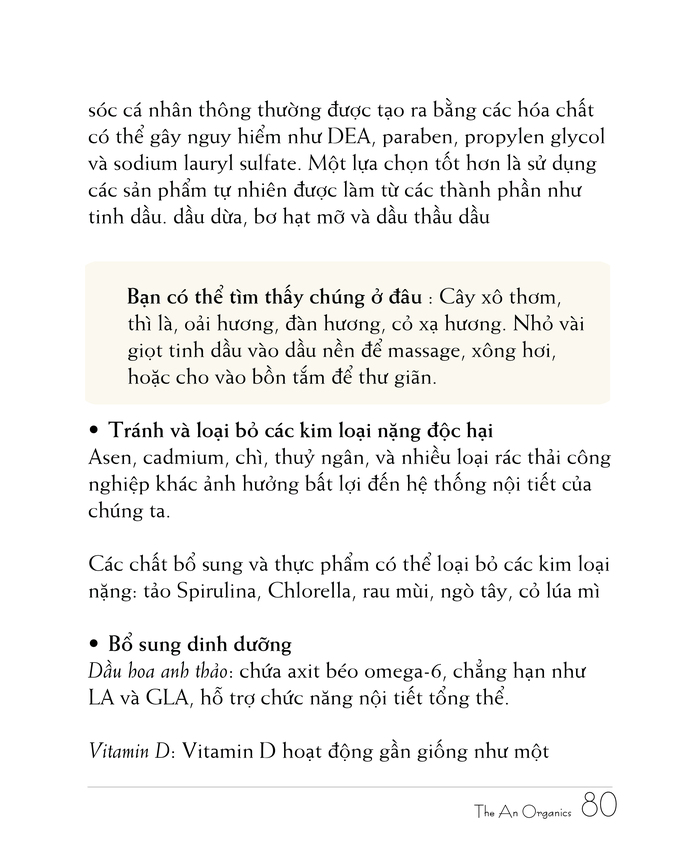Ebook chăm sóc da toàn diện của The An Organics, Chương 6