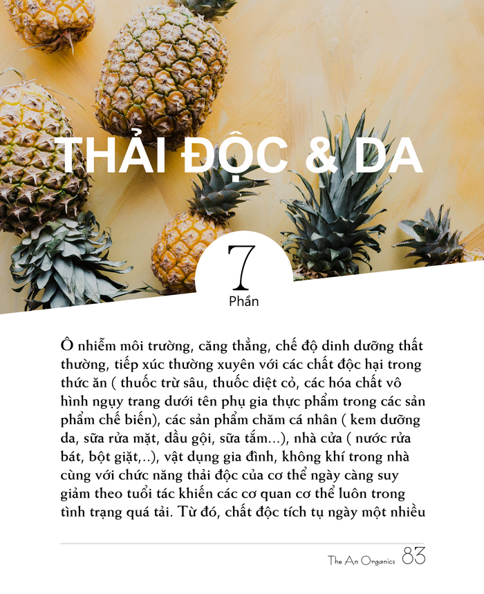 Ebook chăm sóc da toàn diện của The An Organics, Chương 7
