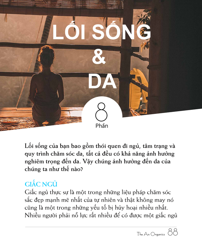 Ebook chăm sóc da toàn diện của The An Organics, Chương 8