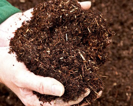 Magiê, vi khoáng cần thiết cho mụn và sức khỏe