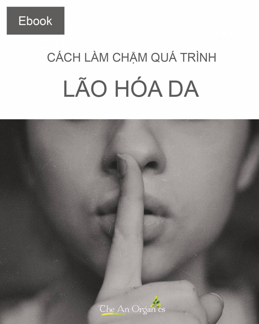 Ebook cách làm chậm quá trình lão hóa da