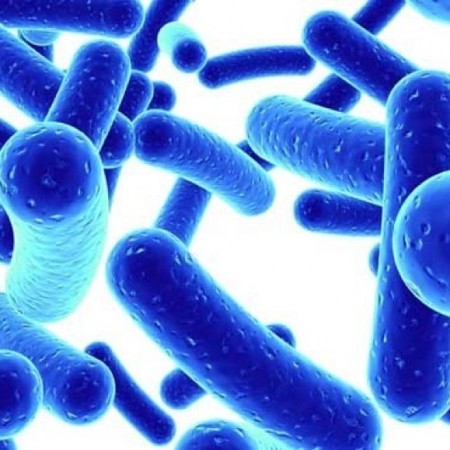 Tìm hiểu Công thức lợi khuẩn hoàn chỉnh 70 tỷ CFU của Dr.Mercola