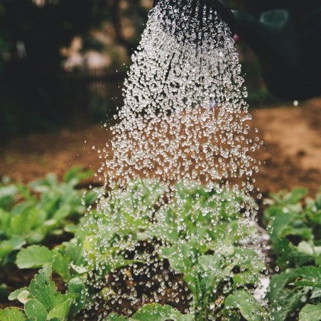 Series bài viết ngắn về lão hóa, oxy hóa