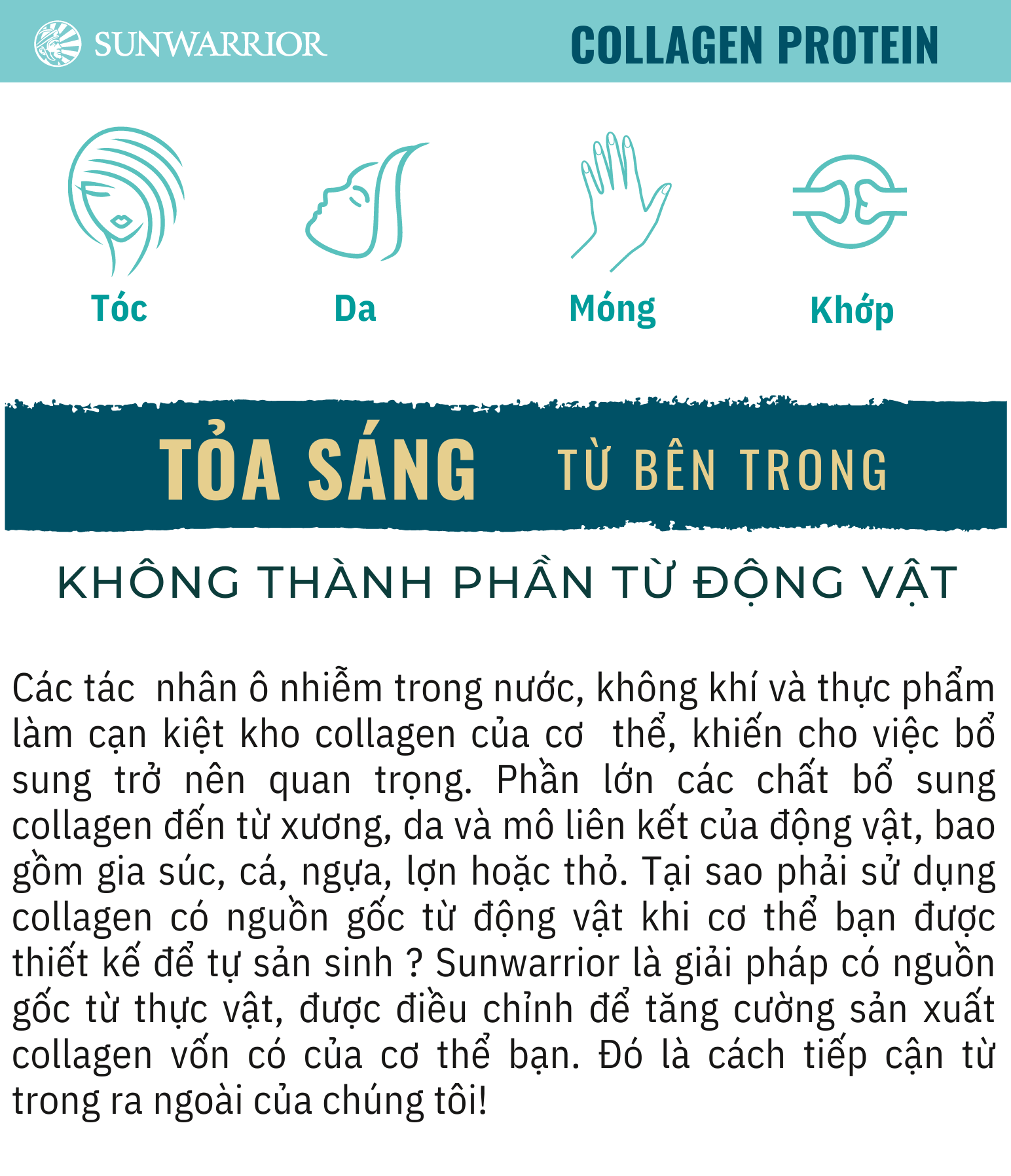 Bột bổ sung collagen building protein peptides Sunwarrior 13