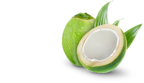 Dừa