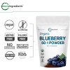Bột việt quất hữu cơ Micro Ingredients Organic Blueberry 50:1 Concentrate Powder 3
