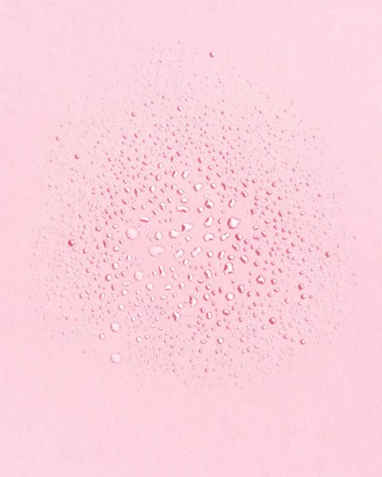 Toner từ hoa hồng và đá thạch anh Earth Harbor TIDAL ROSE Crystal Hydration - Ảnh 3
