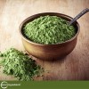 Bột cỏ lúa mì hữu cơ Micro Ingredients Organic Wheatgrass Powder 227g 5