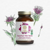 Viên uống cây kế sữa Pure Synergy SUPERPURE® MILK THISTLE EXTRACT 3