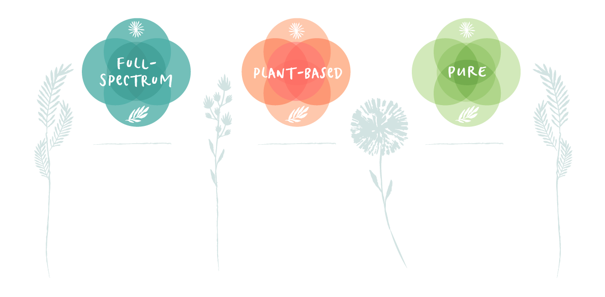 Bổ sung canxi, viên uống phục hồi xương khớp Pure Synergy Bone Renewal 6 Bổ sung canxi, viên uống phục hồi xương khớp Pure Synergy Bone Renewal 6