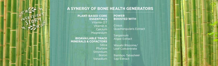 Bổ sung canxi, viên uống phục hồi xương khớp Pure Synergy Bone Renewal 7 Bổ sung canxi, viên uống phục hồi xương khớp Pure Synergy Bone Renewal 7