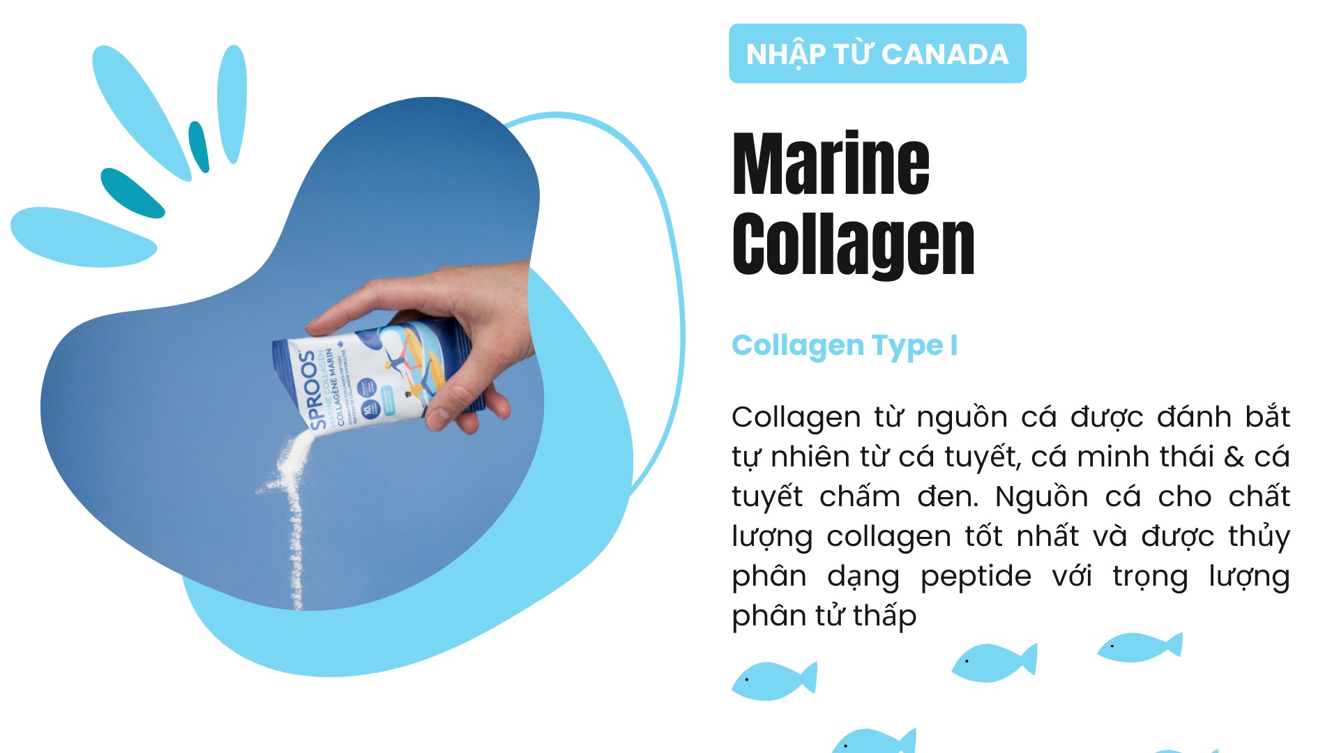 Bột collagen peptide thủy phân từ cá Sproos Marine Collagen 26