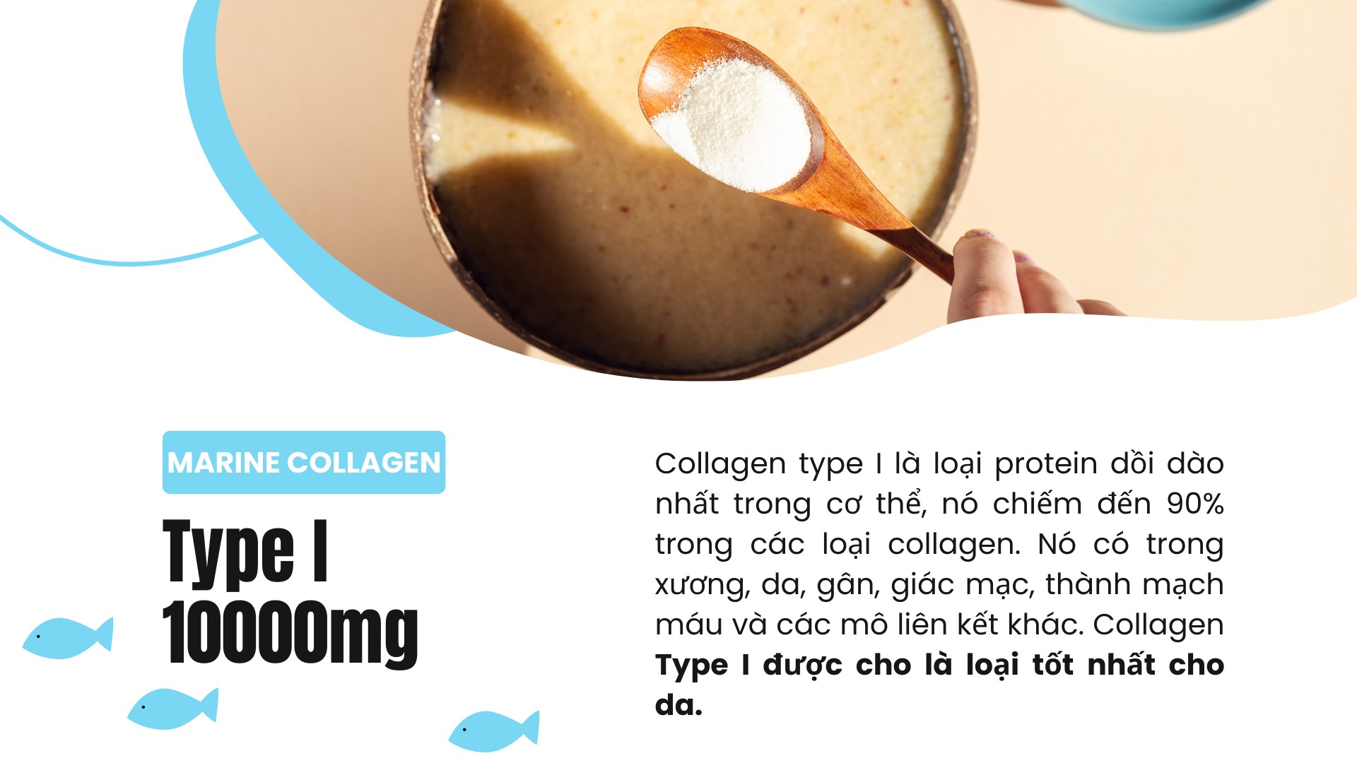 Bột collagen peptide thủy phân từ cá Sproos Marine Collagen 28