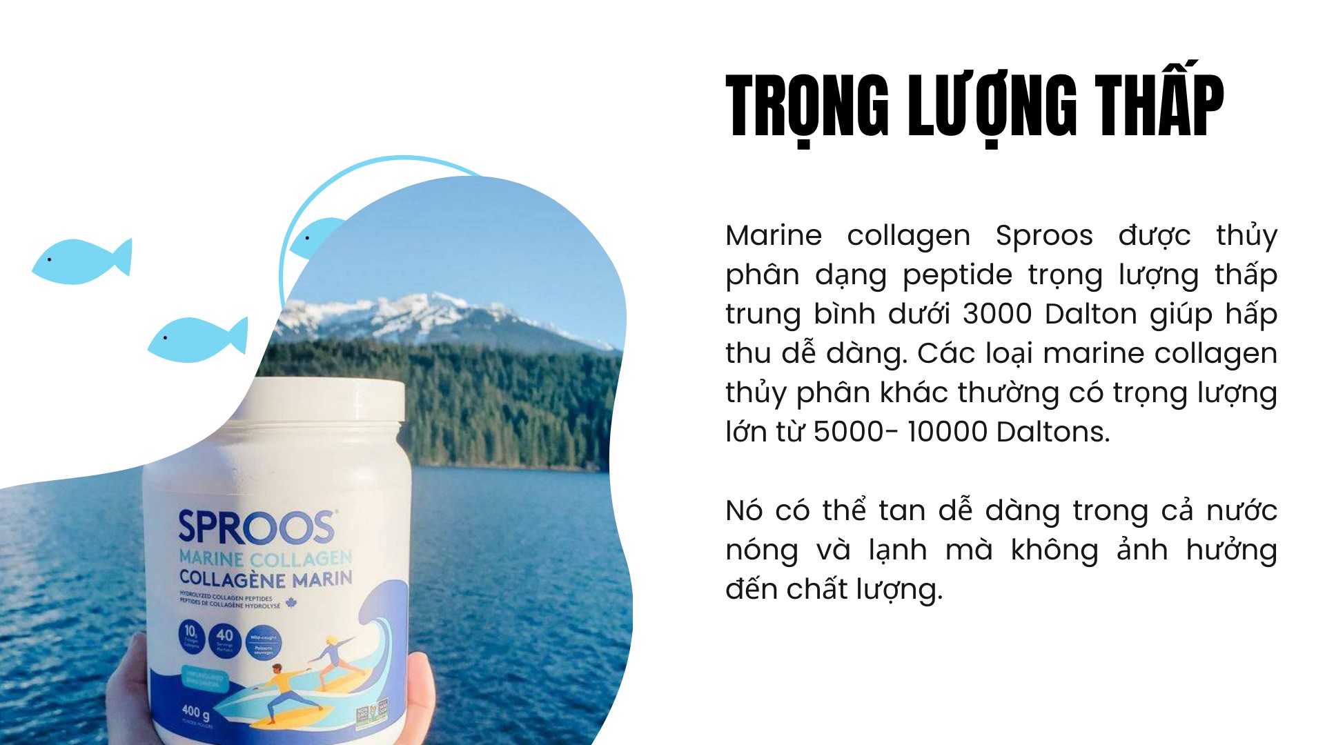 Bột collagen peptide thủy phân từ cá Sproos Marine Collagen 30