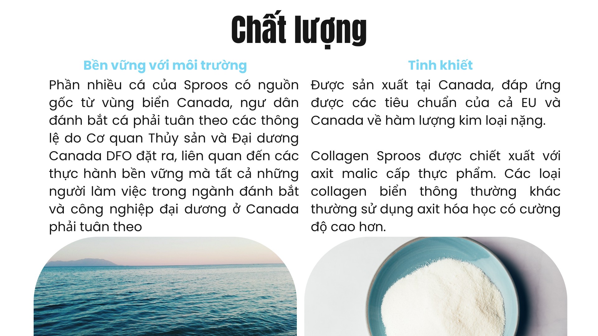 Bột collagen peptide thủy phân từ cá Sproos Marine Collagen 32