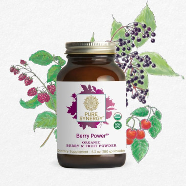 Bột hỗn hợp quả mọng hữu cơ Pure Synergy ORGANIC BERRY POWER™ 4