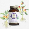 Viên uống giảm căng thẳng Pure Synergy STRESS REMEDY™ 5