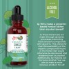 Bổ não hữu cơ Mary Ruth's Ginkgo Leaf 30ml 5
