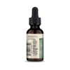 Dung dịch cọ lùn hữu cơ Dr Mercola Organic Saw Palmetto Liquid Drops 3