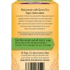 Trà cung cấp chất chống oxy hóa Yogi Green Tea Super Antioxidant 3