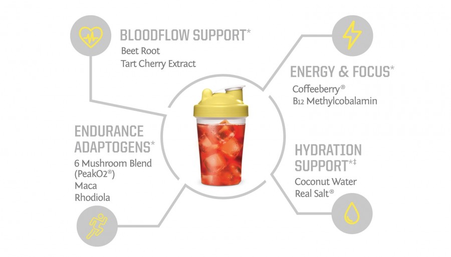 Sunwarrior Active Energy 4