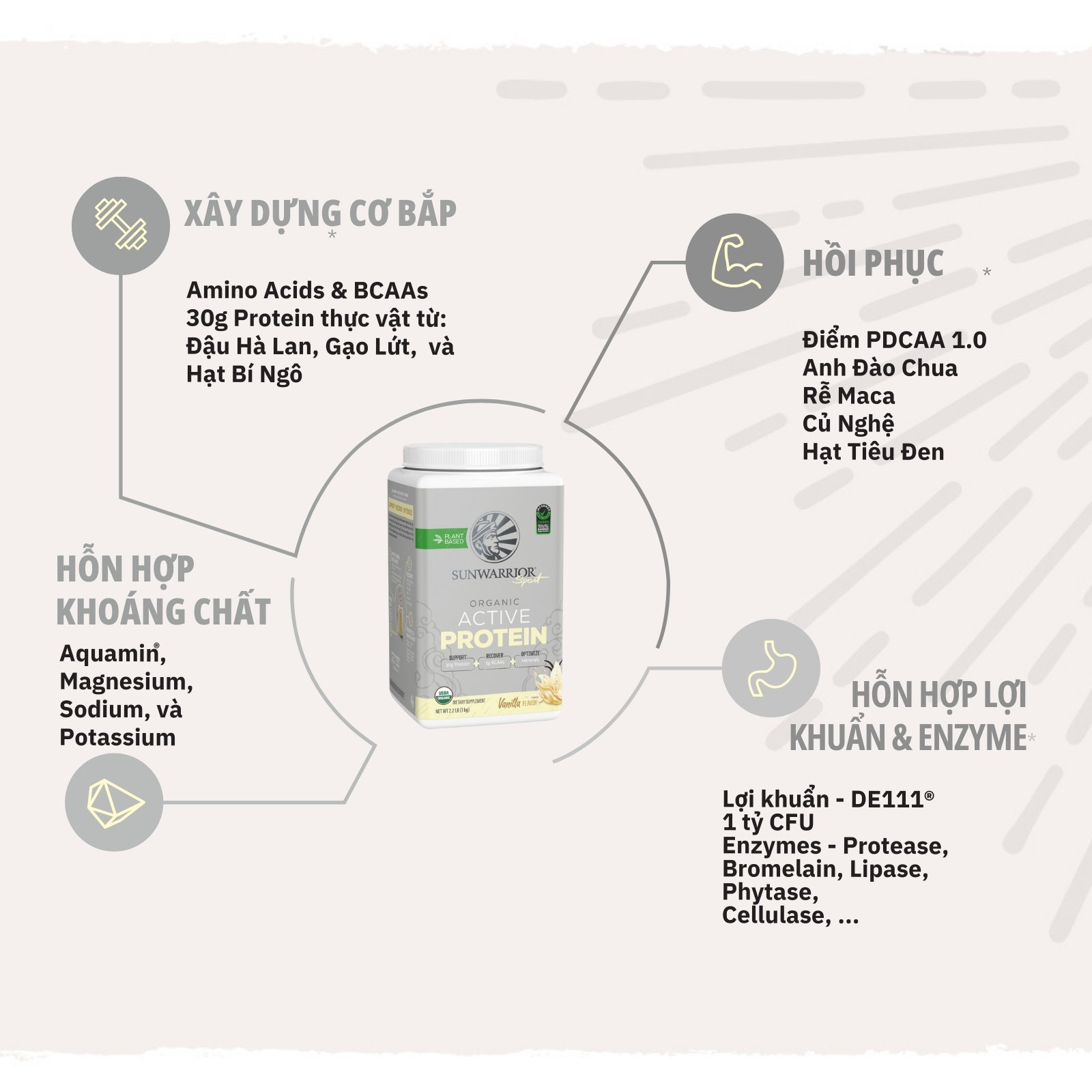 Protein thực vật hữu cơ Sunwarrior Active Protein 5