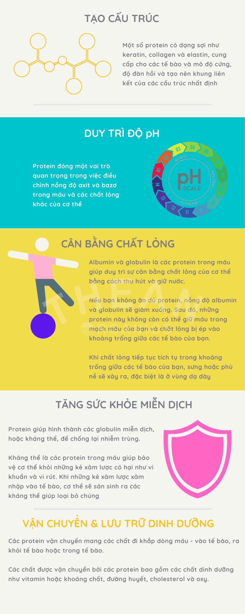 Những điều cần biết về protein 18